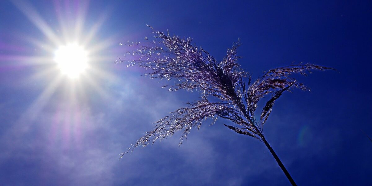 Soleil et ciel bleu : alerte aux grandes chaleurs sur le Luxembourg