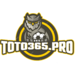 Illustration du profil de toto365pro