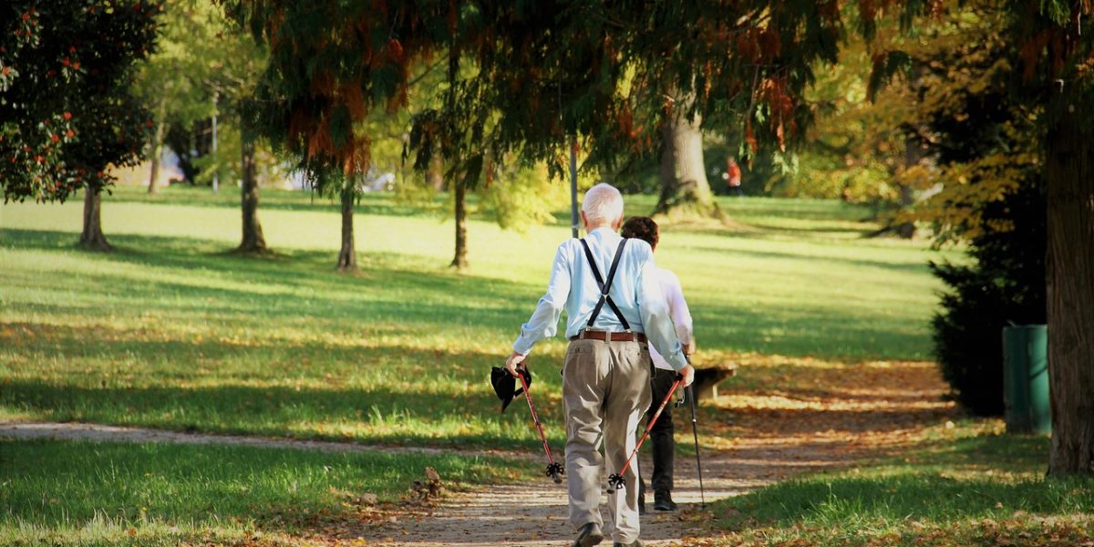 Parmi les altérations naturelles observées chez les êtres vieillissants, la perte de capacité musculaire est l’une des premières responsables de la perte d’autonomie.